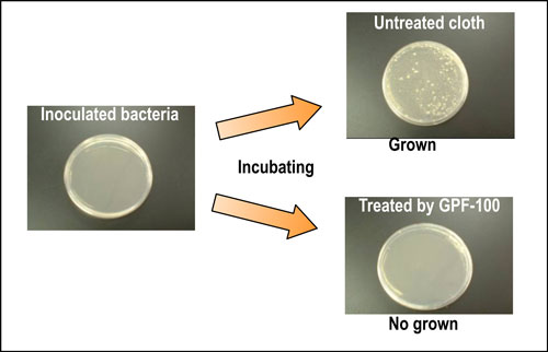 Details of antibacterial test